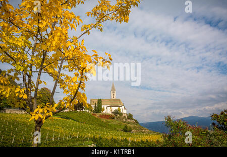 Vista autunnale della chiesa del villaggio idilliaco di Cortaccia. Cortaccia si estende sul lato soleggiato della strada del vino. Alto Adige - Italia Foto Stock