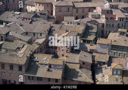 La vista sui tetti di Siena da Torre del Mangia, Toscana, Italia Foto Stock