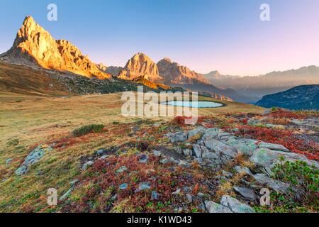 Autunno sunrise vicino al Passo Giau a valle d'Ampezzo. Il mirtillo piante sono rosso e l'erba è bruciato dal primo gelate. Il sole illumina il Foto Stock