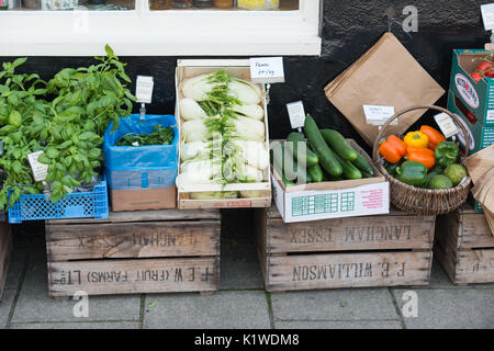 Scatole di verdure fresche in vendita al di fuori di un negozio di specialità gastronomiche in Arundel, West Sussex, in Inghilterra. Foto Stock