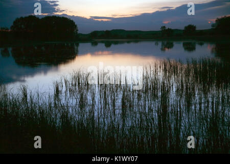 Calma superficie di stagno con legno in bella alba con alba e nebbia. Foto Stock