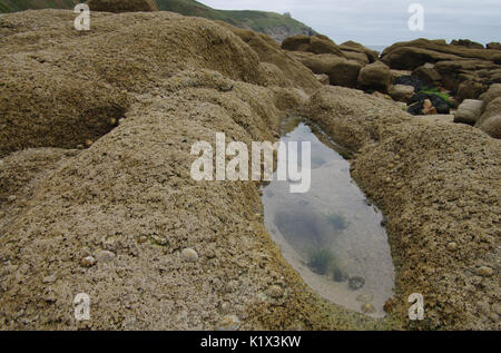 Praa Sands, Cornwall, Regno Unito Foto Stock