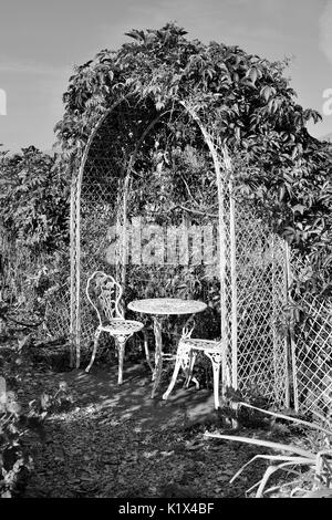 Tavolo e sedie sotto arco bianco con fiore vigneti che crescono su esso in bianco e nero Foto Stock