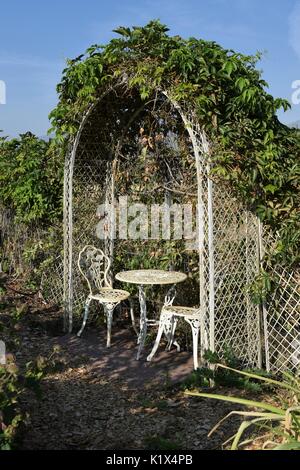 Tavolo e sedie sotto arco bianco con fiore vigneti che crescono su esso Foto Stock