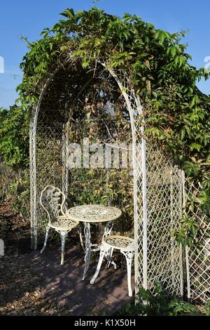 Tavolo e sedie sotto arco bianco con fiore vigneti che crescono su esso Foto Stock