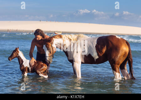 Un uomo di lavaggio di un cavallo e la sua lettiera in mare di Jericoacoara, Ceará, Brasil Foto Stock