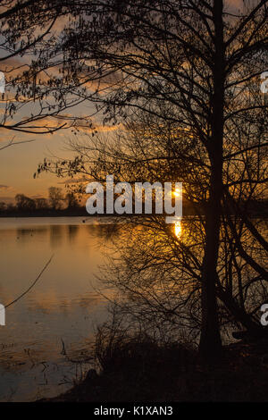 Tramonto sul lago con silhouette di alberi di fronte Foto Stock