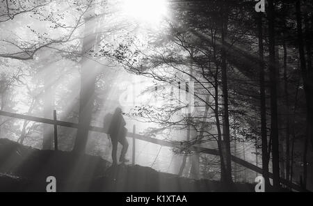 Immagine in bianco e nero con la sagoma di un uomo escursioni attraverso boschi, sulle piste illuminate dai raggi del sole. Foto Stock