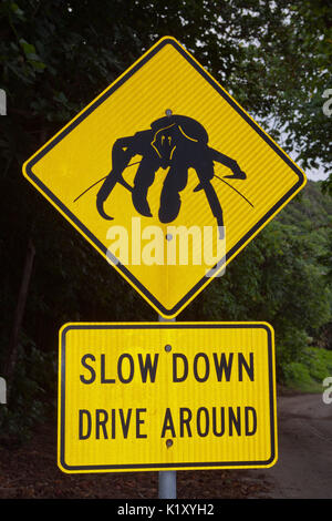 Avvertimento del conducente segno sul lato strada, Birgus latro, Isola Christmas, Australia Foto Stock