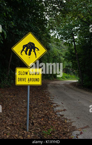 Avvertimento del conducente segno sul lato strada, Birgus latro, Isola Christmas, Australia Foto Stock