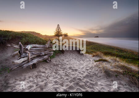 Driftwood sedile unico sul dune di sabbia che si affaccia su Mount Maunganui spiaggia al tramonto. Foto Stock