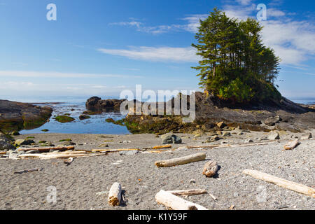 Il paesaggio costiero a Botanical Beach in Juan de Fuca Parco Provinciale vicino a Port Renfrew sull'Isola di Vancouver, British Columbia, Canada. Foto Stock