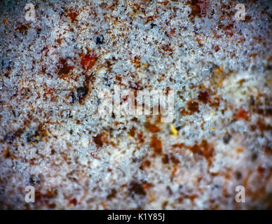 Sfondo, macro. Lo strato sottile di fusione della neve sulla pietra. La molla closeup Foto Stock