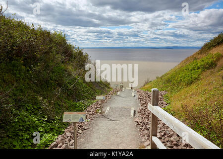 Scale a Falesie fossilifere di Joggins, Nova Scotia, Canada Foto Stock