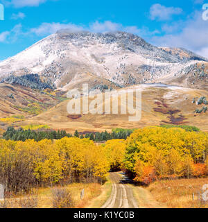 I colori dell'autunno sotto il centennial montagna in bearpaw montagne vicino Big Sandy, montana Foto Stock