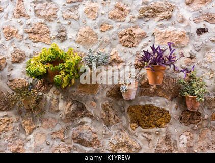Diverse piante colorate o vasi di fiori appesi a un muro di pietra in splendido antico mediterraneo idilliaco villaggio lonesome town Foto Stock