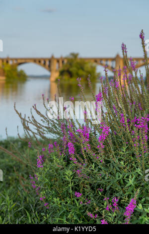 Veterans Memorial ponte che attraversa il fiume Susquehanna tra Wrightsville PA e Columbia PA Foto Stock