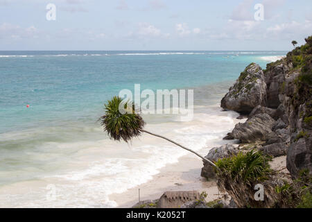 Spiaggia tropicale con topazio azzurro acqua, appoggiata Palm tree, sabbia bianca e scogliere rocciose. Foto Stock