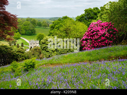 Fioritura di rododendro, Lanhydrock House, Lanhydrock giardini, vicino a Bodmin, Cornwall, England, Regno Unito Foto Stock