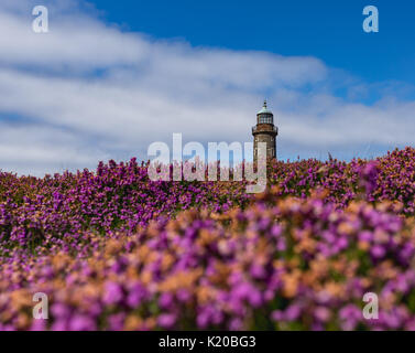 Faro superiore torre sul polpaccio dell uomo Foto Stock