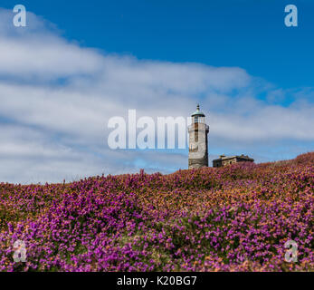 Faro superiore torre sul polpaccio dell uomo Foto Stock