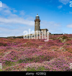 Faro superiore torre sul polpaccio dell uomo Foto Stock