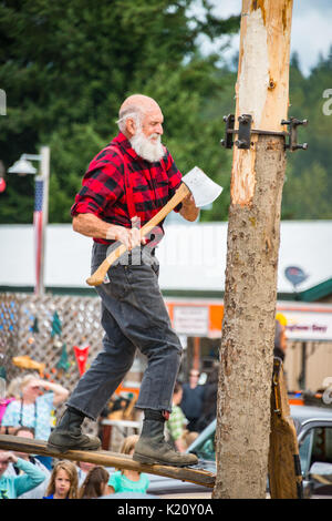 Uomo con Ax sul trampolino di lancio per tritare in basso tronco di albero Lumberjack dimostrazione delle competenze Evergreen State Fair Monroe Washington Foto Stock