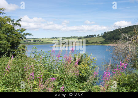 Bellissima giornata a Wimbleball cisterna, devon Foto Stock