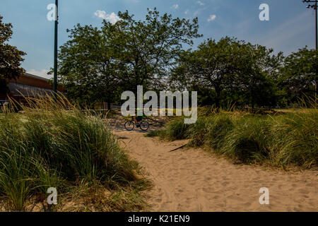 Camminare intorno alla ricerca di impianto riempito paesaggi Foto Stock