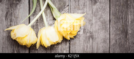 Banner di tulipani su sfondo di legno con spazio di copia Foto Stock