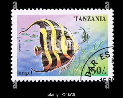 Francobollo dalla Tanzania raffigurante un angelfish. Foto Stock