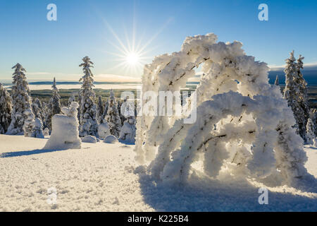 Incantevole paesaggio invernale in Lapponia nel nord della Finlandia Foto Stock