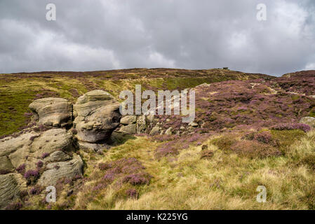 E aspro paesaggio su Kinder Scout in estate. Edale, Peak District, Derbyshire, in Inghilterra. Foto Stock