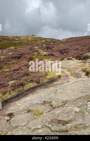 E aspro paesaggio su Kinder Scout in estate. Edale, Peak District, Derbyshire, in Inghilterra. Foto Stock