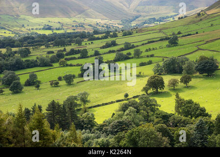 Modello di ricchi campi verdi nella valle di Edale, Peak District, Derbyshire, in Inghilterra. Foto Stock