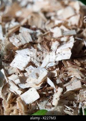 Close up di legno di legno trucioli di chip in un palo; Inghilterra; Regno Unito Foto Stock
