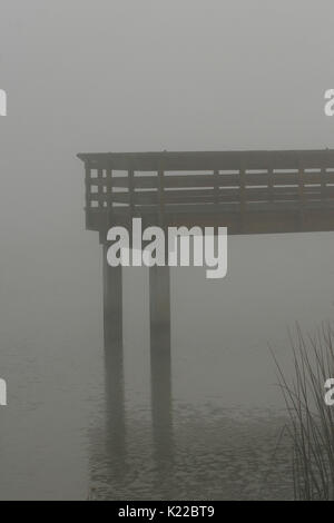 PIER E BULL GIUNCHI CIRCONDATO DA TULE NEBBIA, Antiochia MARINA, Antiochia, CALIFORNIA Foto Stock