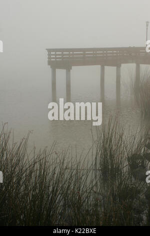 PIER E BULL GIUNCHI CIRCONDATO DA TULE NEBBIA, Antiochia MARINA, Antiochia, CALIFORNIA Foto Stock