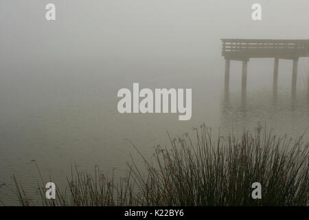 PIER E BULL GIUNCHI CIRCONDATO DA TULE NEBBIA, Antiochia MARINA, Antiochia, CALIFORNIA Foto Stock