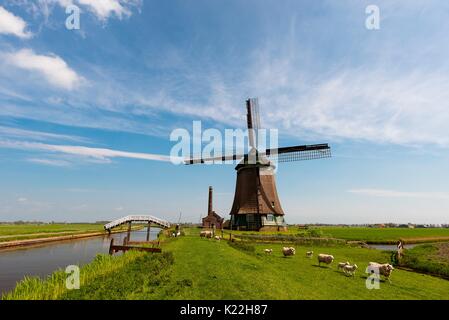 Lisse, Paesi Bassi Mill fotografato a nord di Amsterdam Foto Stock