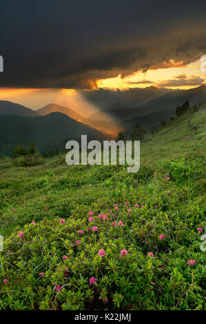 Passo Crocedomini, Parco Adamello,Lombardia,Italia un albero di luce che filtra attraverso le nubi e illumina la valle al di sotto di Foto Stock