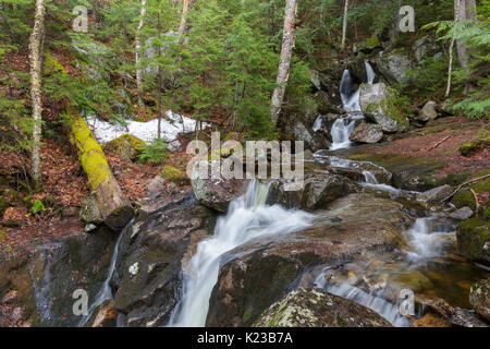 Fleming Flume sulla testa di elefante Brook in Carroll, New Hampshire durante i mesi primaverili. Questo ruscello è vicino il sentiero Webster-Jackson. Foto Stock