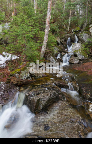 Fleming Flume sulla testa di elefante Brook in Carroll, New Hampshire durante i mesi primaverili. Questo ruscello è vicino il sentiero Webster-Jackson. Foto Stock