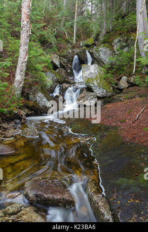 Fleming Flume sulla testa di elefante Brook in Carroll, New Hampshire durante i mesi primaverili. Questo ruscello è vicino il sentiero Webster-Jackson. Foto Stock