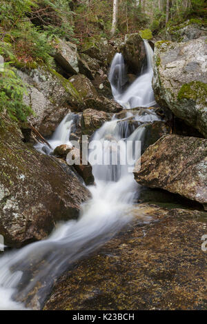Fleming Flume sulla testa di elefante Brook in Carroll, New Hampshire durante i mesi primaverili. Questo ruscello è vicino il sentiero Webster-Jackson. Foto Stock