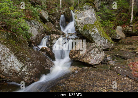 Fleming Flume sulla testa di elefante Brook in Carroll, New Hampshire durante i mesi primaverili. Questo ruscello è vicino il sentiero Webster-Jackson. Foto Stock