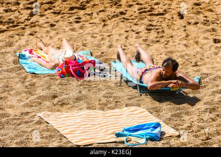 Burton Bradstock, Dorset, Regno Unito. Il 28 agosto 2017. Regno Unito Meteo. Lucertole da mare sulla spiaggia di alveare a Burton Bradstock nel Dorset su un sole caldo a ferragosto. Photo credit: Graham Hunt/Alamy Live News Foto Stock