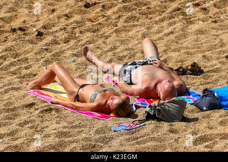 Burton Bradstock, Dorset, Regno Unito. Il 28 agosto 2017. Regno Unito Meteo. Lucertole da mare sulla spiaggia di alveare a Burton Bradstock nel Dorset su un sole caldo a ferragosto. Photo credit: Graham Hunt/Alamy Live News Foto Stock