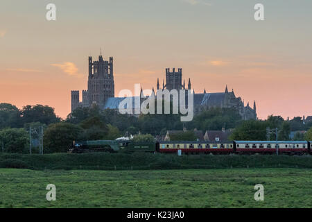 Ely, Regno Unito. Il 28 agosto 2017. Locomotiva a vapore Tornado passa Ely Cathedral in rotta per London King's Cross dopo una carta di Great Yarmouth. Credito: Andrew Plummer/Alamy Live News Foto Stock