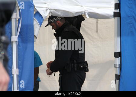 Londra, Regno Unito. 28 agosto 2017. La polizia arresti e sospetti di ricerca nel carnevale di Notting Hill 28/08/2017. I sospetti in mano i bracciali. Credito: Daniel Samray/Alamy Live News Foto Stock